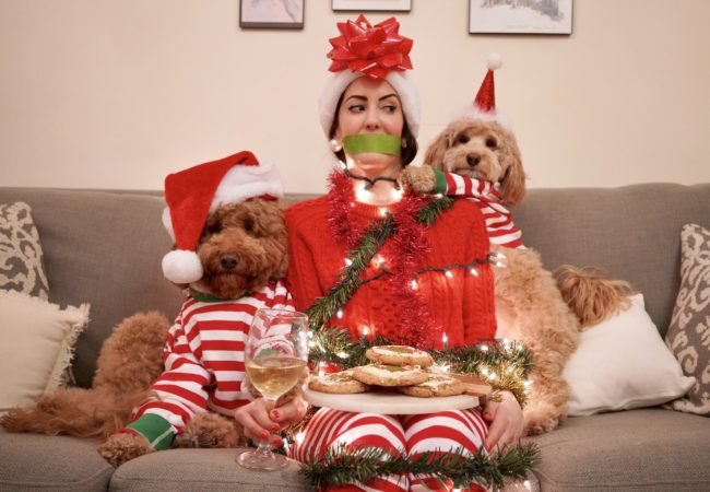 5th Dog of Christmas – @KodyDoodle & @TeddyGramNYC